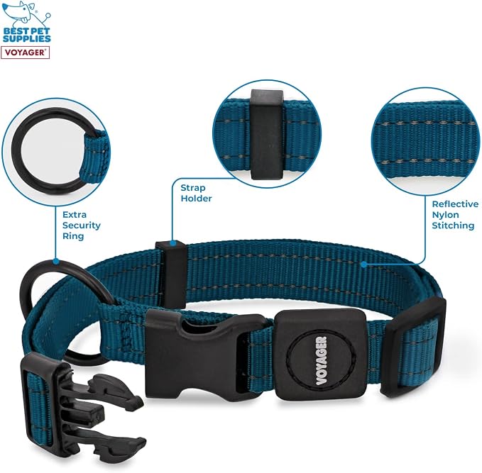 Best Pet Supplies Voyager Reflective Dog Leash or Collar with Neoprene Handle, for Small, Medium, and Large Breed Puppies, Cute and Heavy Duty for Walking, Running and Training - Blue, S