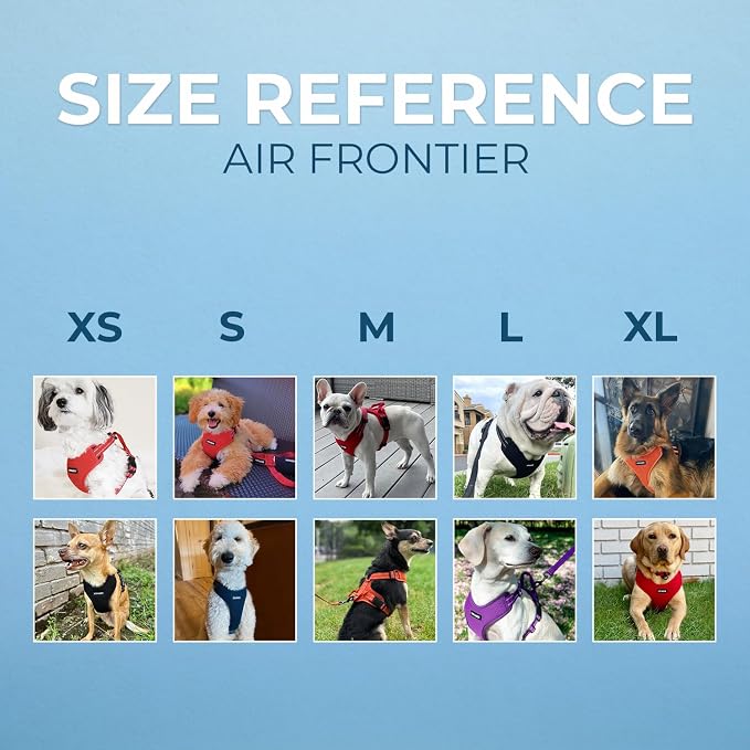 Air Frontier Mesh Dog Harness with Steel Leash D-Ring, Reflective Stitching, and Lightweight Breathable No-Pull Design, Adjustable Neck and Chest Straps for Small to Large Breeds - PPW, XS