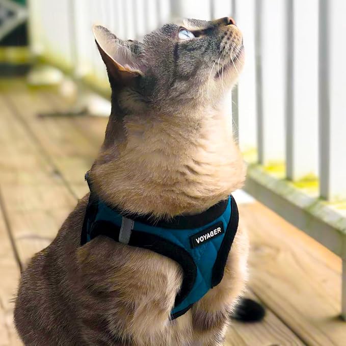 Voyager Step-in Plush Dog Vest Harness -Turquoise Plush, Medium | 16 - 18" in Chest, Soft Plush, Reflective Bands, Cold-Weather Harness, Cats Compatible. Step-In Style,