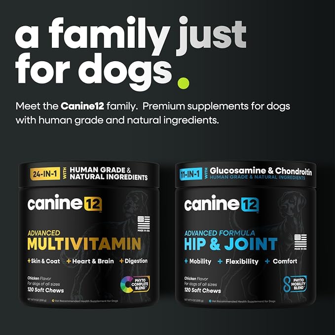 Dog Multivitamin, 24-in-1 Chewable Supplement, Probiotics, 120ct | Vitamins A, B, C, D, and E for Skin and Shiny Coat, Digestive Health Blend, Heart and Eye Health, Daily Chew, Chicken Flavor
