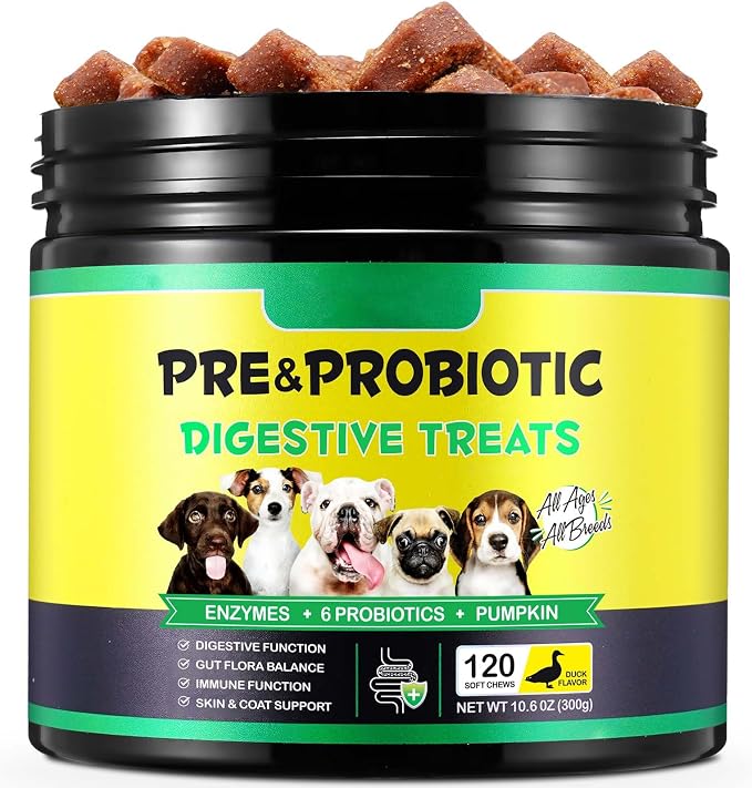 Probiotics for Dogs Chews – Digestive & Gut Health Support, Helps Maintain Stool Quality & Balance During Food Changes, with Prebiotics & Enzymes, Chicken Flavor, 120 Soft Chews