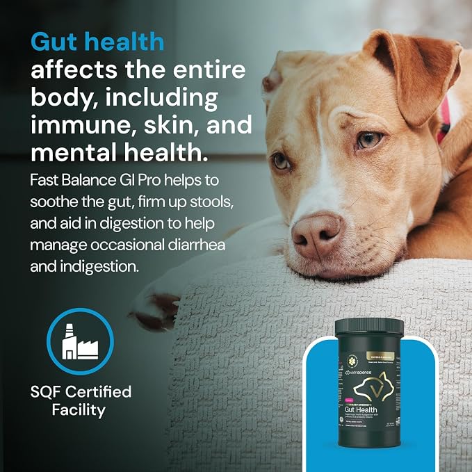 VetriScience Veterinary Strength Gut Health Powder, 60 Servings