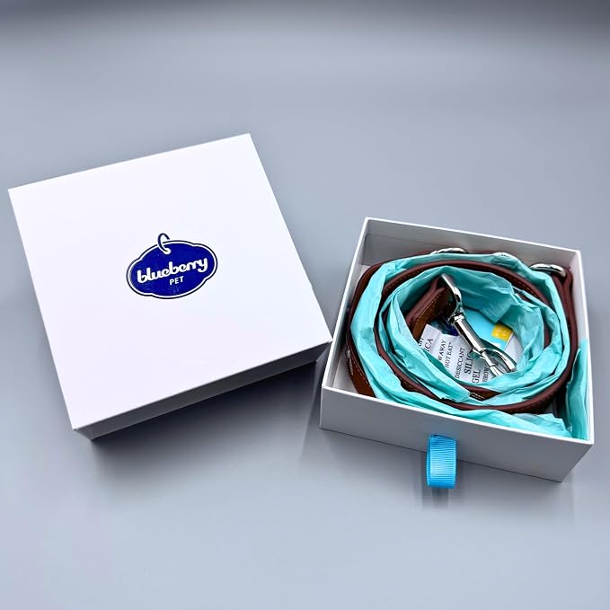 Blueberry Pet Elegant Western Luxury White Leather Dog Leash with Gold Baroque Design