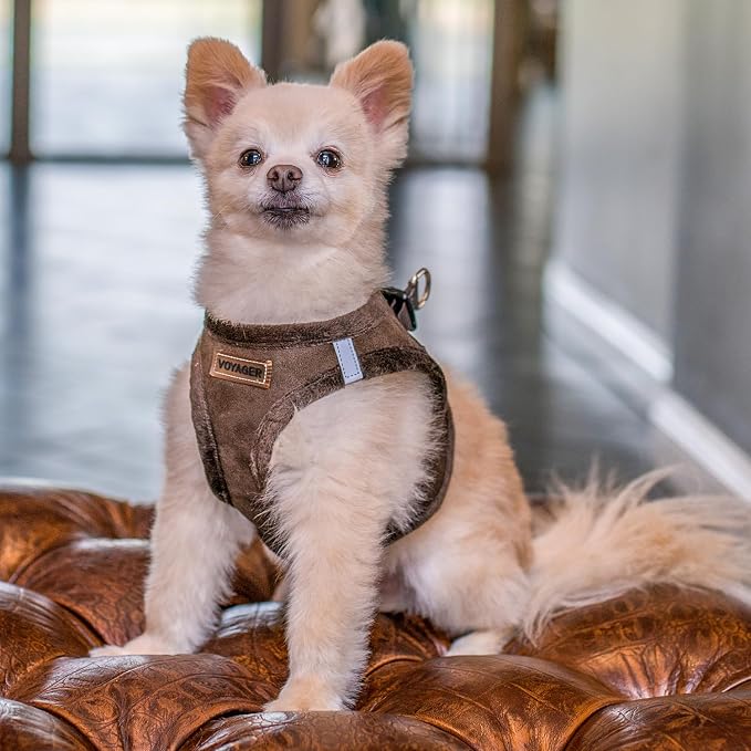 Voyager Step-in Plush Dog Vest Harness -Chocolate Suede, X-Large | 20.5 - 23" in Chest, Soft Plush, Reflective Bands, Cold-Weather Harness, Cats Compatible. Step-In Style,