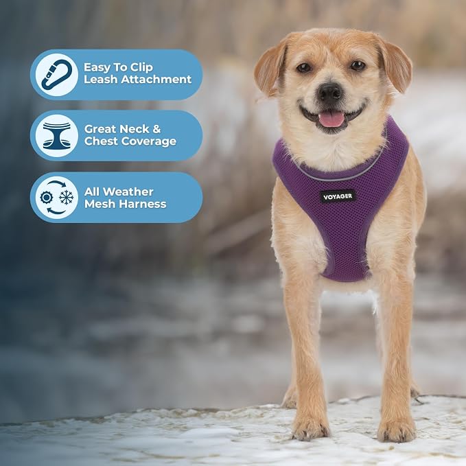 Best Pet Supplies Voyager Aerolite Over the Head Dog Harness, No Pull Breathable Air Mesh Vest, Quick Dry with Reflective Stitching, Adjustable Escape Resistant Harness - Purple, Large