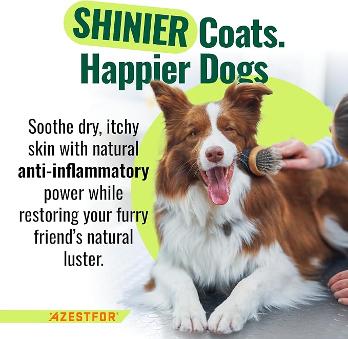 Azestfor Anti-Inflammatory Green Lipped Mussel for Dogs Powder