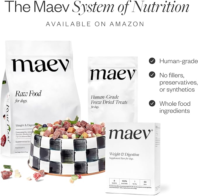 MAEV Human-Grade Skin & Coat Supplement Bars | Natural Support for a Healthy Skin & Coat, 30 Count (Pack of 2)