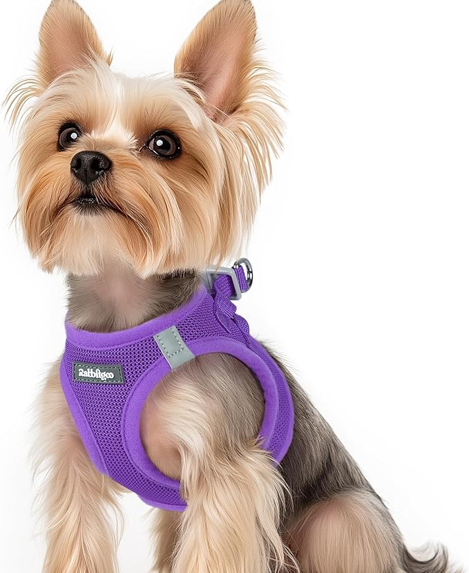 rabbitgoo Step-in Small Dog Harness, Puppy Vest for Small Sized Pet | Easy Put on and off, Lightweight, Soft, Breathable Quick-Dry Air Mesh for Comfortable Secure Walking, Purple XS