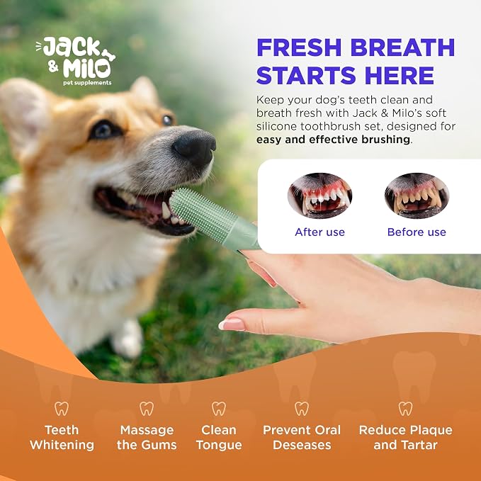 Jack & Milo 2-Pack Soft Silicone Pet Toothbrush – Gentle Finger Toothbrush for Small Dogs, Puppies & Cats – Safe Oral Care for Baby Pets – Promotes Healthy Teeth & Gums – Blue & Green