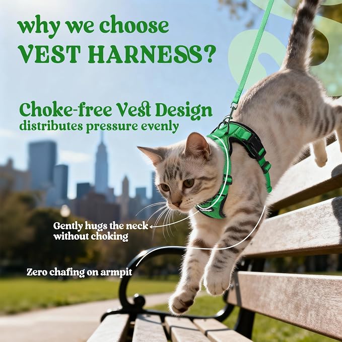 rabbitgoo Cat Harness and Leash Set, Escape Proof Vest, Grass Green | Soft Breathable Mesh, Easy Adjustable Fit, Snap Buckles, Sturdy Clip, Reflective Strips, for Kittens & Small Cats Walks, Xxs