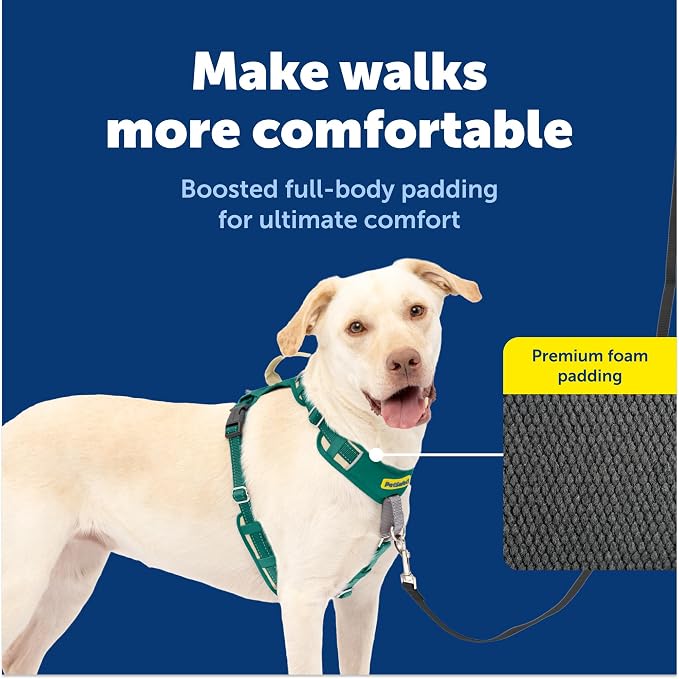 PetSafe Easy Walk Comfort No Pull Dog Harness, Green, Large | Stops Pulling on First Use with Front Martingale Loop, Full-Body Padding, 5-Point Adjustable Fit