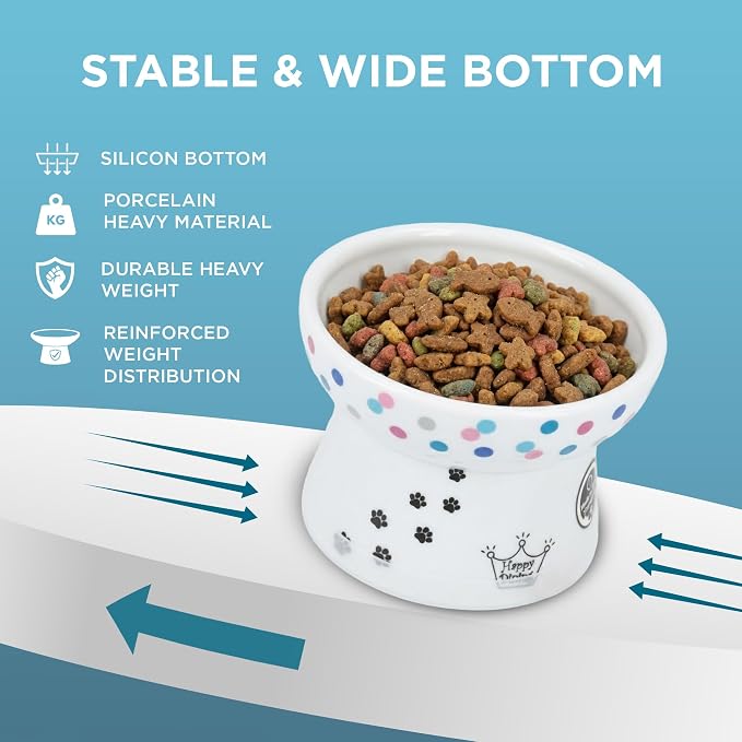 Necoichi Raised Cat Food Bowl – Ceramic Elevated Cat Bowl for Whisker & Neck Fatigue, Dishwasher Microwave Safe – Non-Slip & Anti Vomiting Ergonomic Design (Colorful Dots, Regular, 1 Cup Capacity)