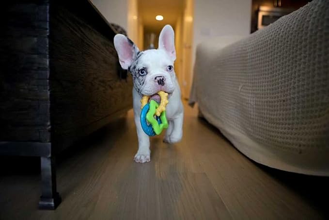 Nylabone Puppy Power Chew Teething Rings Dog Chew Toy, Bacon Flavor, Small | For powerful chewing styles, durable puppy toys to keep them busy, puppy enrichment, for dogs up to 25 lbs