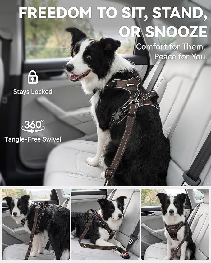 Joytale 3-in-1 Bungee Dog Seat Belt - Brown