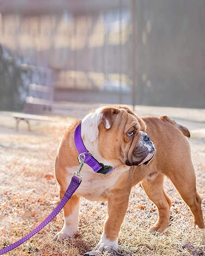 Joytale 6FT1'' Dog Leash and Collar (16-24"), Reflective Soft Neoprene Padded Pet Collars and Leashes for Large Dogs, Purple