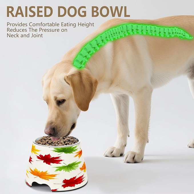 Blueangle Elevated Dog Bowls with Stainless Steel - Non-Slip 2.3 Cup High Capacity Pet Dish for Spinal Health & Bow Pumpkin Design（275）