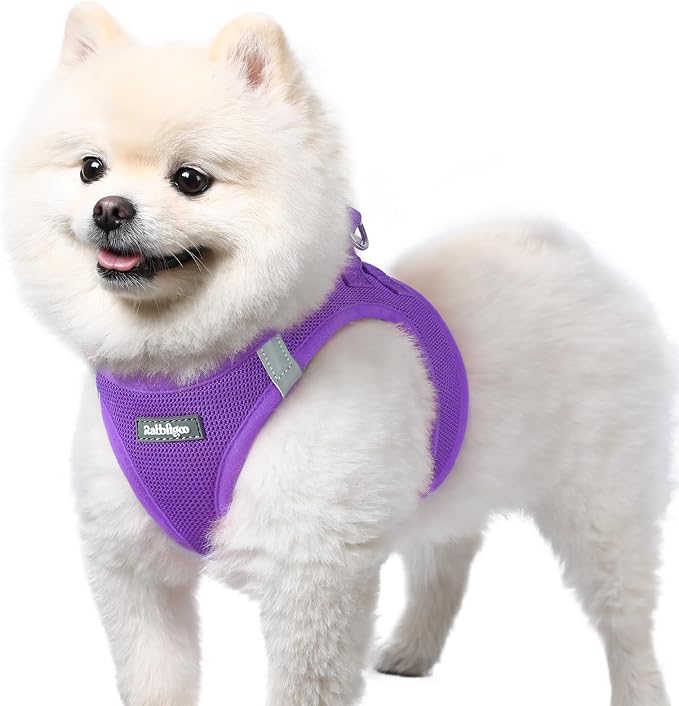 rabbitgoo Step-in Small Dog Harness, Puppy Vest for Small Sized Pet | Easy Put on and off, Lightweight, Soft, Breathable Quick-Dry Air Mesh for Comfortable Secure Walking, Purple S
