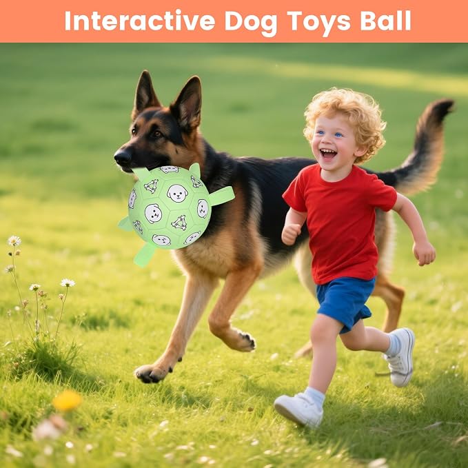 6in Dog Soccer Ball, Interactive, Floating