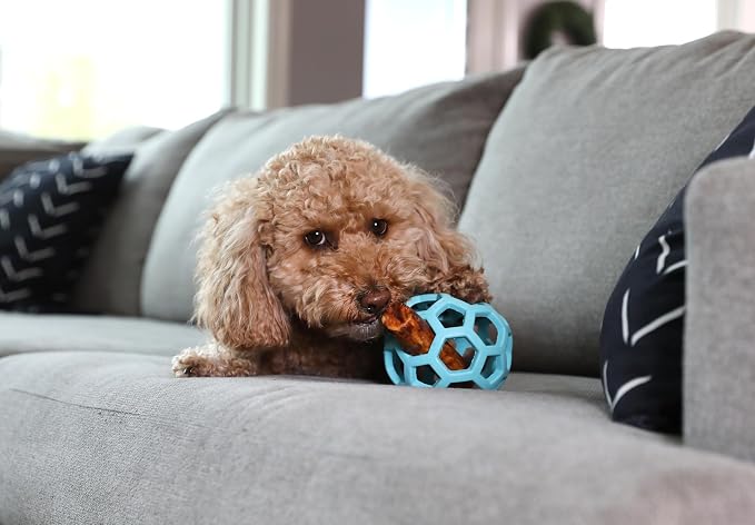 JW Pet HOL-ee Roller Dog Puzzle Ball, Medium 4.5in, Natural Rubber, Blue | Puzzle Ball Design Dog Toy for Interactive Play and Chasing Fun