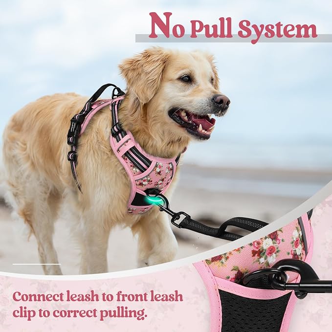 rabbitgoo Dog Harness, No Pull for Small Dogs with 2 Leash Clips, Pet Vest | No Choke with Handle, Adjustable Soft Padded, Reflective, Easy Control for Walking, Pink Rose, Small