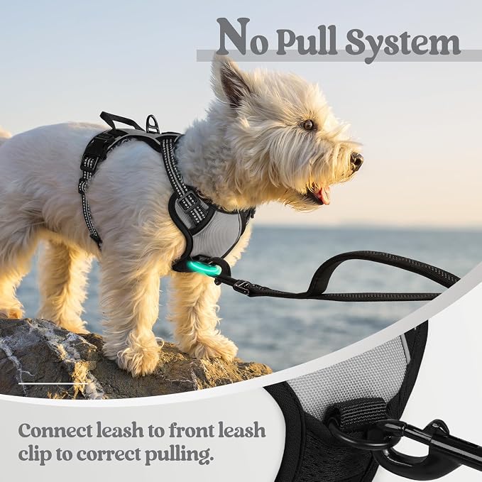 rabbitgoo Dog Harness No Pull with 2 Leash Clips, Adjustable Soft Padded, Reflective Oxford No Choke Pet Vest with Easy Control Handle for Puppy, Grey, XS | No Choke with Handle, Adjustable Soft Padded, Reflective, Easy Control for Walking, Gray, X-Small