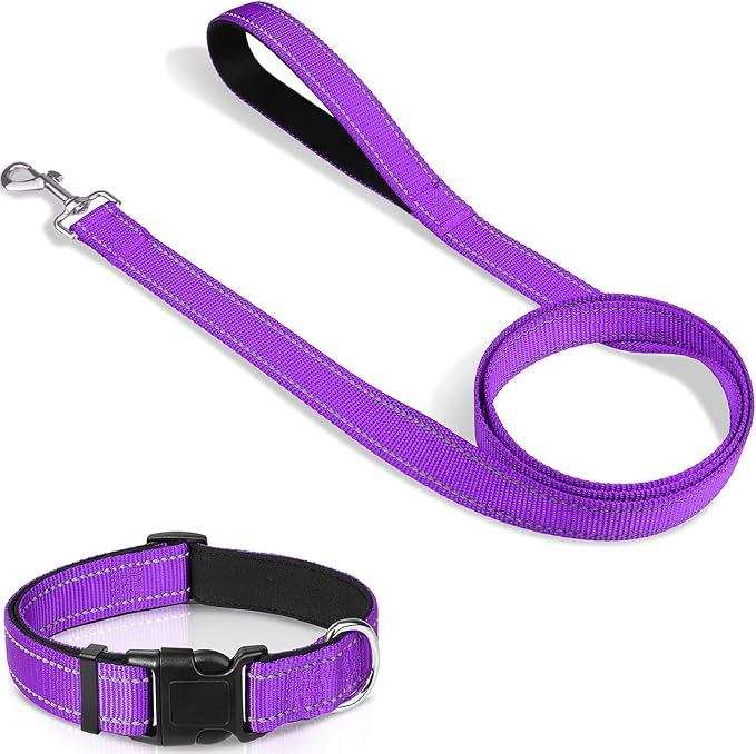 Joytale 6FT1'' Dog Leash and Collar (16-24"), Reflective Soft Neoprene Padded Pet Collars and Leashes for Large Dogs, Purple
