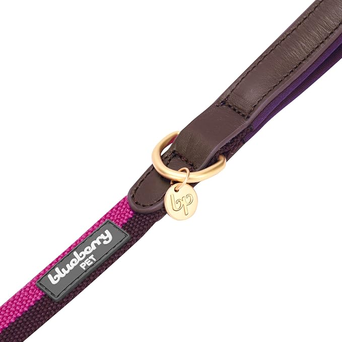 Blueberry Pet Polyester Fabric Webbing and Soft Genuine Leather Dog Leash with Soft & Comfortable Handle, 6 ft x 3/4", Hot Pink and Purple, Leashes for Dogs
