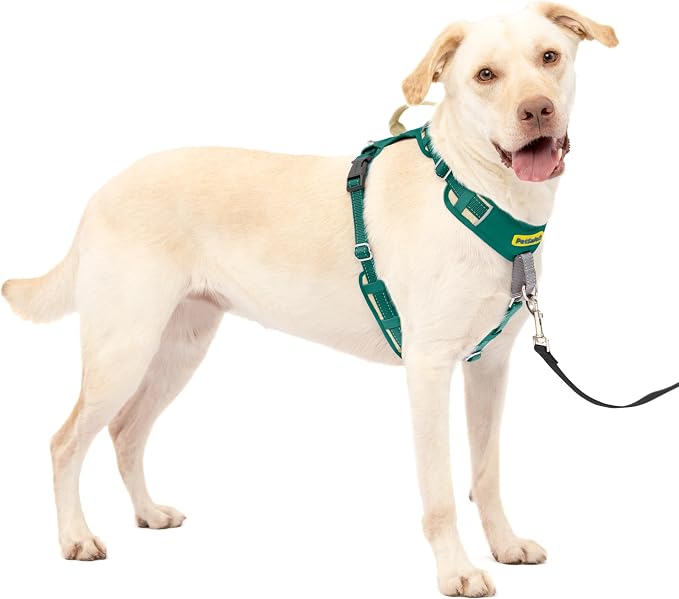 PetSafe Easy Walk Comfort No Pull Dog Harness, Green, Large | Stops Pulling on First Use with Front Martingale Loop, Full-Body Padding, 5-Point Adjustable Fit