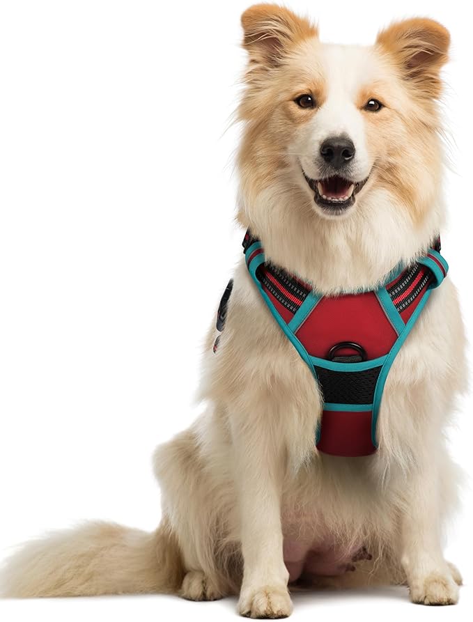 rabbitgoo Dog Harness, No Pull Medium Sized with 2 Leash Clips, Pet Vest | No Choke with Handle, Adjustable Soft Padded, Reflective, Easy Control for Walking, Red & Teal, Medium