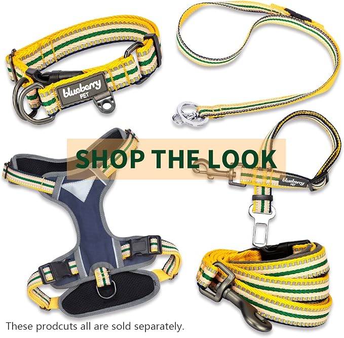 Blueberry Pet 3M Reflective Nylon Dog Leash with Soft Handle, Multi‑Colored Stripe, Yellow & Green, Large
