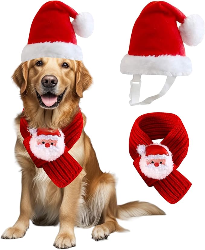 Large Dog Christmas Santa Hat and Scarf Set, Large