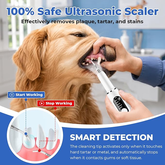 Dog Plaque and Tartar Remover，Ultrasonic Tooth Cleaner for Dogs | Dog Tooth Brushing kit ,5 Modes, LED Light, Ultrasonic Cleaner with Toothbrush & 4 Cleaning Head