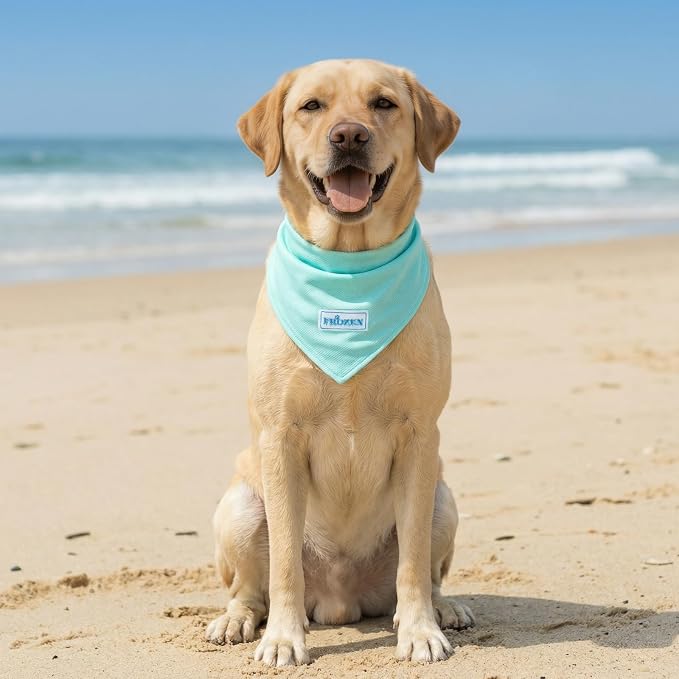 KYEESE 2Pack Dog Cooling Bandana, 20 inches, 2-Pack, Small, Blue