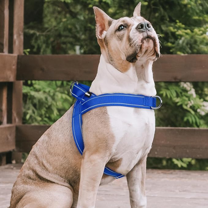 rabbitgoo Dog Harness No Pull, Quick Fit for Medium Sized Dog, Reflective | Chest Adjustable Pet Vest with Soft Padded Handle, No Choke Escape Proof for Walking Training, Blue M