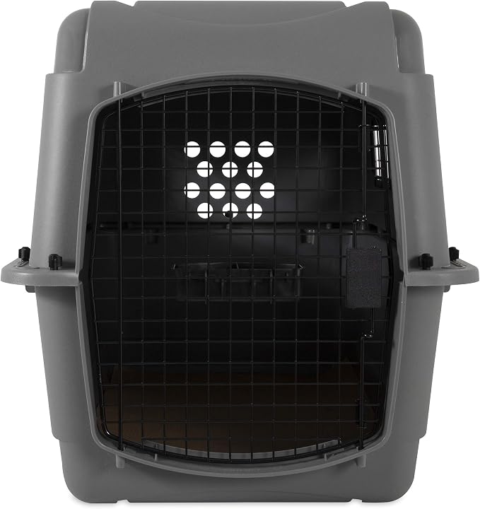 Petmate Sky Kennel Pet Carrier (32 Inch) and Petmate 290300 Kennel Travel Kit