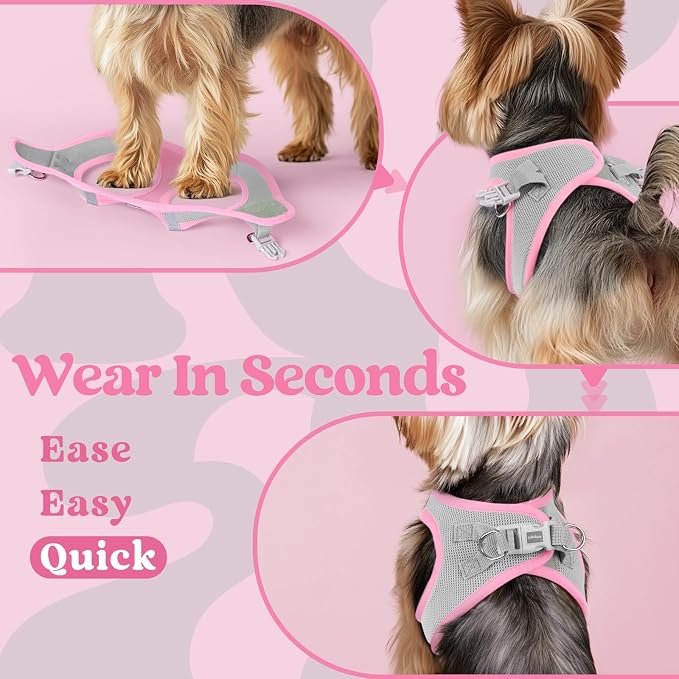 rabbitgoo Step-in Small Dog Harness, Puppy Vest for Small Sized Pet | Easy Put on and off, Lightweight, Soft, Breathable Quick-Dry Air Mesh for Comfortable Secure Walking, Light Pink & Gray M