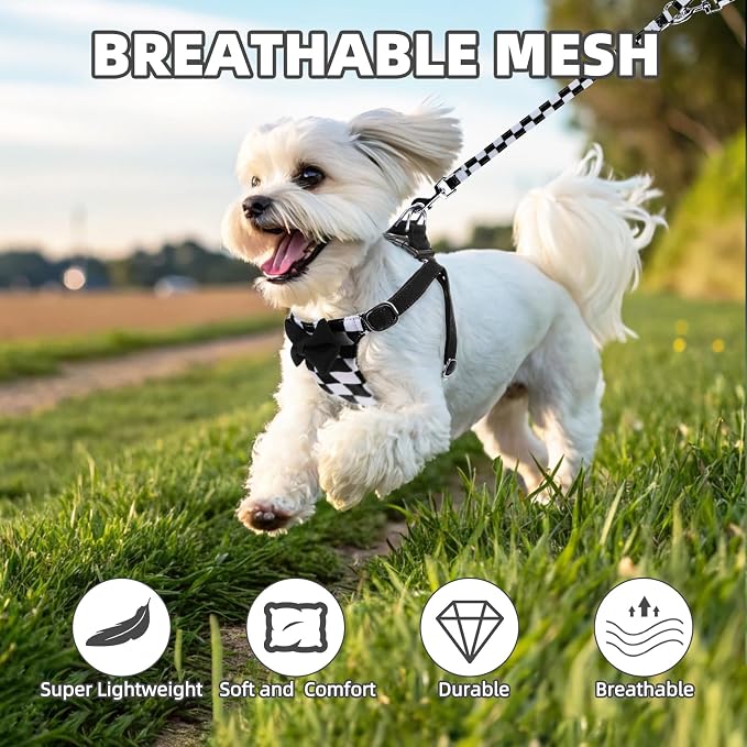 PUPTECK Dog Harness and Leash Set Small Sized, Lightweight Step-in Puppy Harness, Escape Proof No Pull Cute Pet Vest Harnesses, Black&White Checkered S