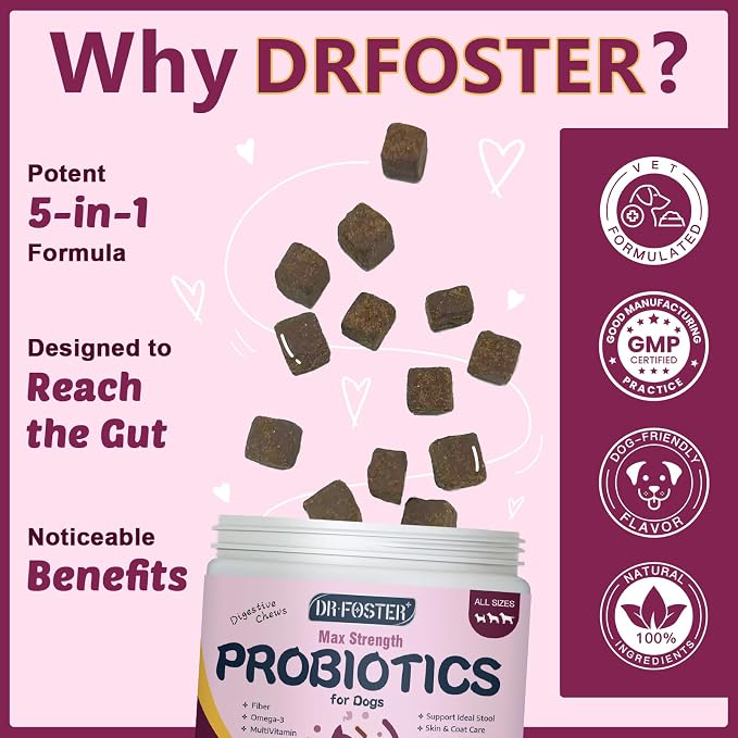 DRFOSTER Probiotics for Dogs, 6 Billion CFU, Pumpkin, 120 Chews