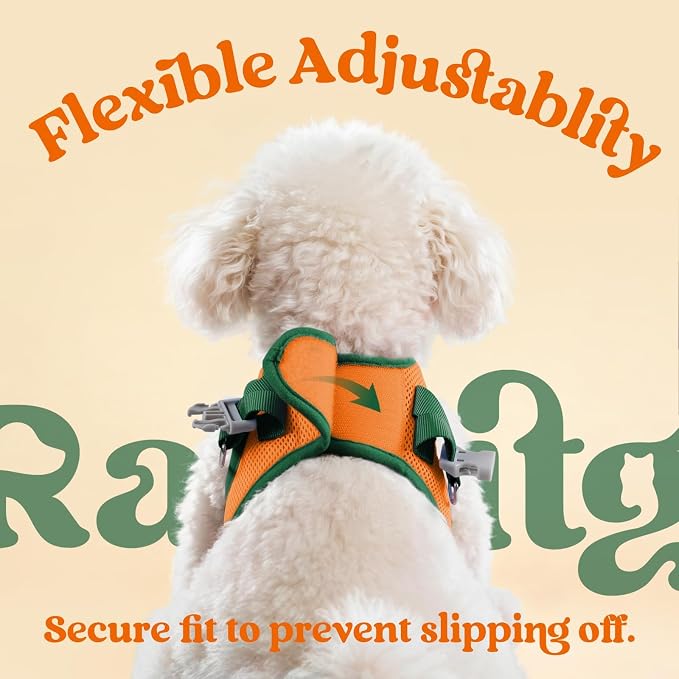 rabbitgoo Dog Harness Small Sized and Leash Set, Step in Soft Vest | Breathable Mesh, Easy Wear with Hook & Loop, Light and Reflective for Walking, Multi-colored, Orange & Dark Green, XXS