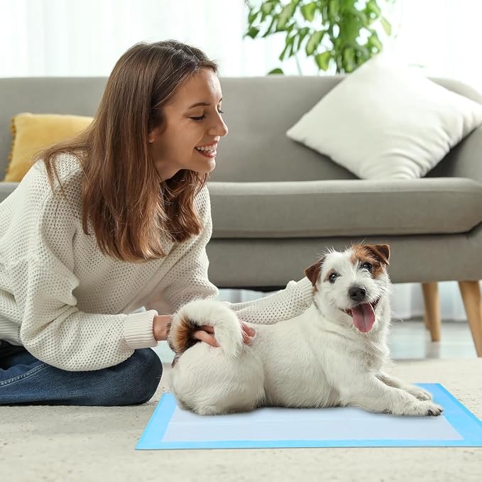 Care All-Absorb, 23.6" x 23.6", 40 Count, Dog and Puppy Training Pads, Ultra Absorbent and Odor Eliminating, Leak-Proof 5-Layer Training Pads with Quick-Dry Surface (L- 23.6 x 23.6-(40 Count))