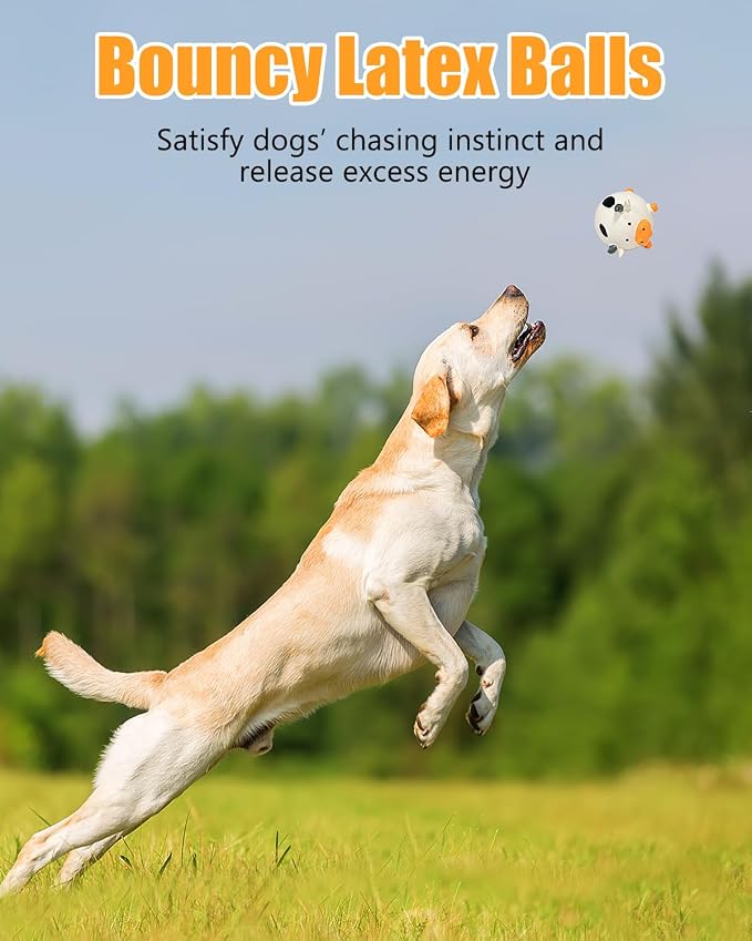 Dog Toys Squeaky, Interactive Latex Rubber Cute Animal Pet Toy Pack Squeak Balls for Puppy Small Medium Breed Dogs
