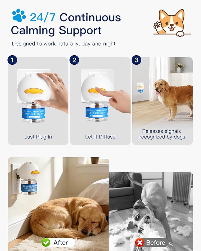 Accecraft Dog Calming Diffuser Kit
