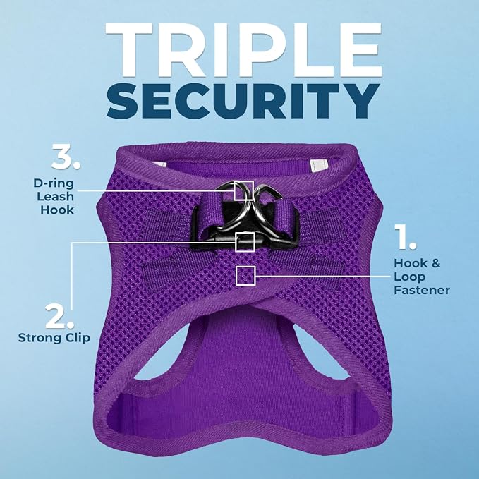 Best Pet Supplies Voyager Step-in Air All Weather Mesh Harness and Reflective Dog 5ft Leash Combo with Neoprene Handle, for Small, Medium and Large Breed Puppies - Purple, Large