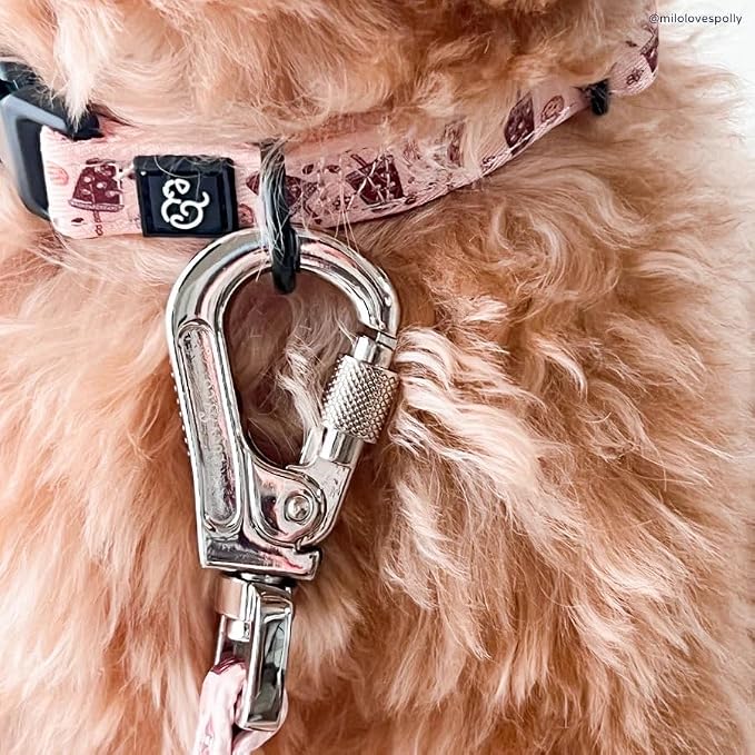 Lucy & Co. - Designer Dog Leash Comfortable Leash Training Product w/Adjustable Chest & Neck Straps - (Large, Tan White Coffee)