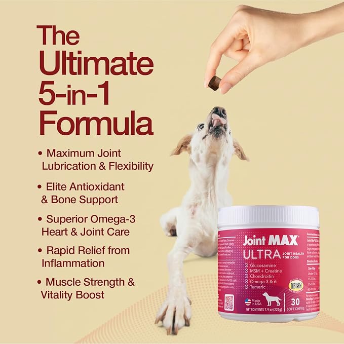 Ultra Advanced Hip & Joint Support for Dogs – All-in-One Soft Chews with Glucosamine, MSM, Omega-3s (EPA & DHA), Hyaluronic Acid & Boswellia – Maximum Strength Mobility & Comfort – 30 Chews