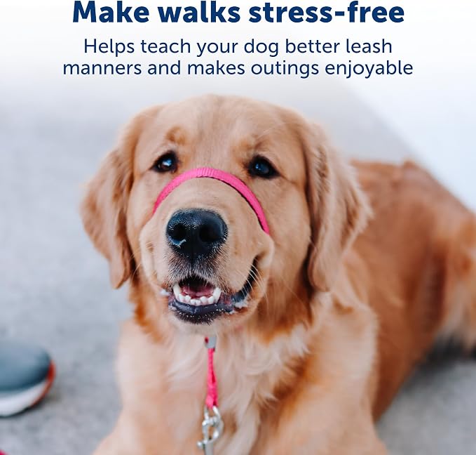 PetSafe Gentle Leader No-Pull Dog Headcollar - The Ultimate Solution to Pulling - Redirects Your Dog's Pulling for Easier Walks - Helps You Regain Control - Large, Charcoal (Pack of 6)
