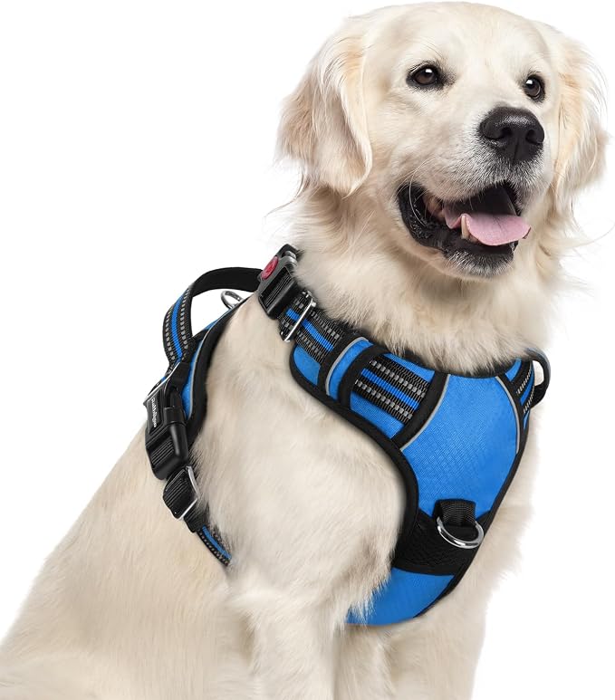 rabbitgoo Dog Harness for Large, No Pull 3 Buckles Easy On & Off | Soft Padded, Walking with Control Handle, Adjustable and Reflective, Blue, X-Large