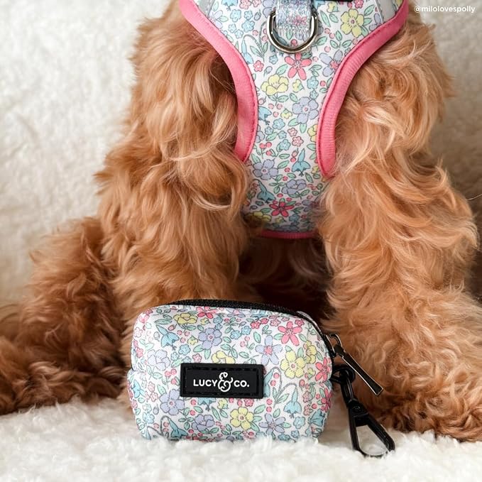 Lucy & Co. Ditsy Daydream No-Pull Dog Harness, Adjustable Front Clip Harness with Comfort Padding, Small
