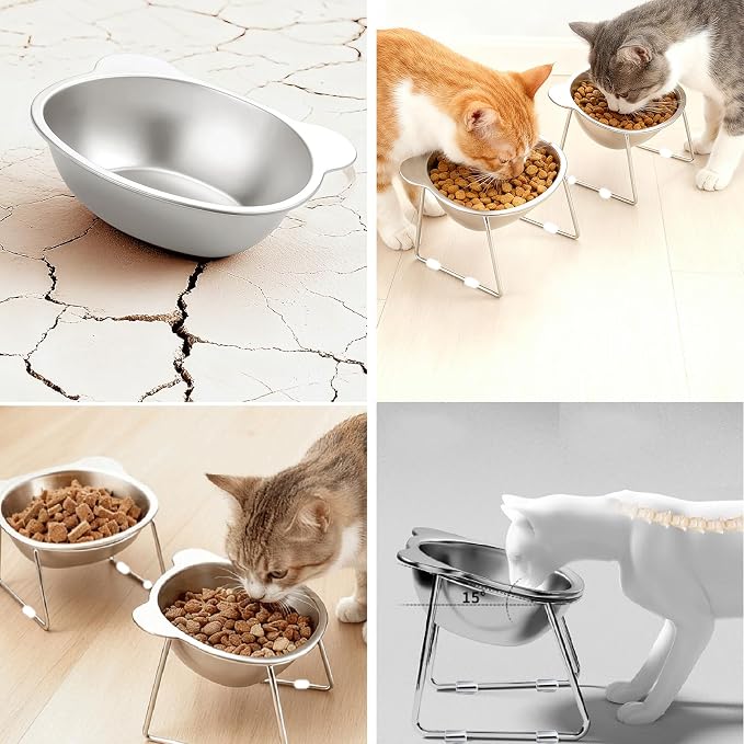 2 Pack Elevated Pet Bowls for Small Cats and Dogs: 15° Tilted Anti-Vomiting Stainless Steel Raised Dishes, 5.9” Whisker & Spine Friendly Indoor Food & Water Bowls