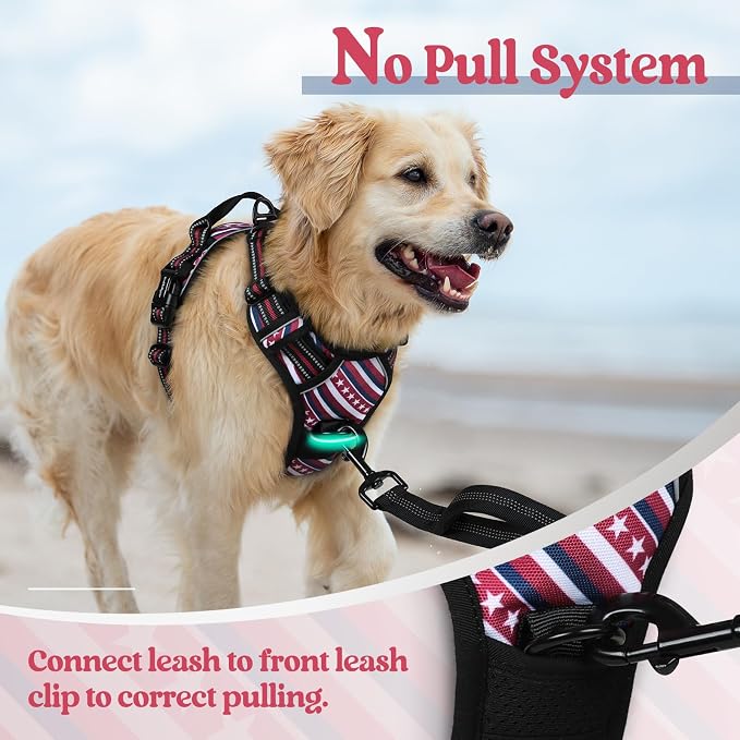 rabbitgoo Dog Harness, No Pull for Small Dogs with 2 Leash Clips, Pet Vest | No Choke with Handle, Adjustable Soft Padded, Reflective, Easy Control for Walking, Red Stripe, Small